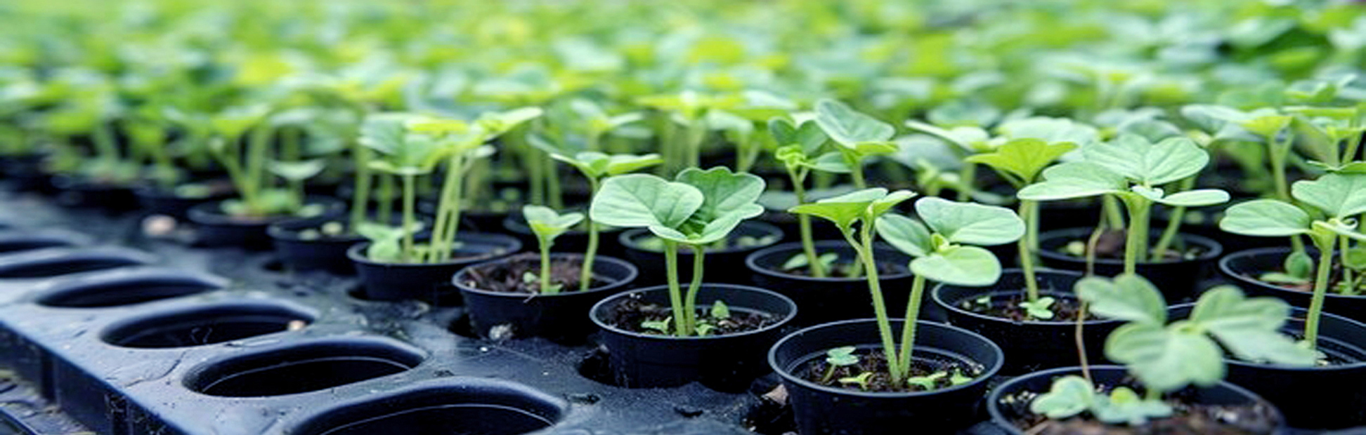 Agricultural Services image